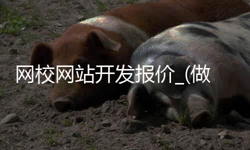 网校网站开发报价_(做一个网校平台多少钱)