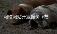 网校网站开发报价_(做一个网校平台多少钱) 