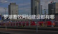 罗湖畜牧网站建设都有哪些（深圳畜牧兽医站官网） 