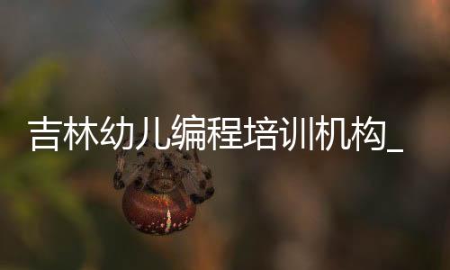 吉林幼儿编程培训机构_(吉林幼儿编程培训机构排名)