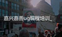 嘉兴嘉善ug编程培训_(嘉善哪里有学数控编程的) 