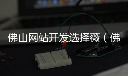 佛山网站开发选择薇(佛山网站建设推荐)