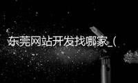 东莞网站开发找哪家_(东莞网站开发找哪家机构好) 