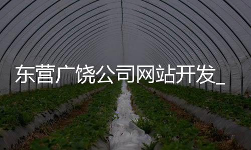 东营广饶公司网站开发_(山东东营广饶招聘信息网)