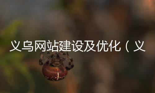 义乌网站建设及优化(义乌网页设计)