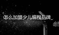 怎么加盟少儿编程品牌_(可以加盟的少儿编程品牌有哪些) 