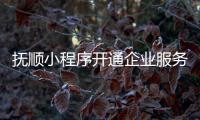 抚顺小程序开通企业服务_(抚顺小程序开通企业服务电话) 