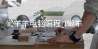 懒羊羊电脑编程_(懒羊羊paddi) 