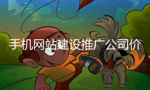 手机网站建设推广公司价格(网站建设公司怎么推广)
