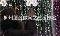 柳州怎么做网站建设排名_(柳州有多少家网站制作公司) 