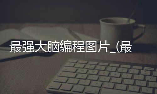 最强大脑编程图片_(最强大脑编程的那个人叫什么)