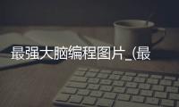 最强大脑编程图片_(最强大脑编程的那个人叫什么) 