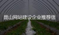 昆山网站建设企业推荐信息_(昆山网站建设企业推荐信息查询) 