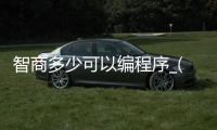 智商多少可以编程序_(智商达到多少以上才能称得上聪明) 