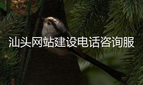 汕头网站建设电话咨询服务（汕头网站建设方案咨询）