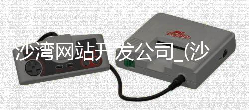 沙湾网站开发公司_(沙湾房地产开发公司招聘)