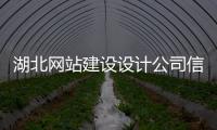湖北网站建设设计公司信息（武汉网站建设公司平台） 