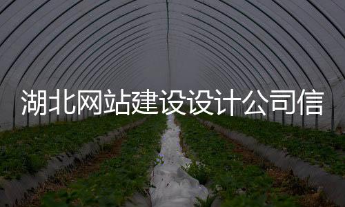 湖北网站建设设计公司信息(武汉网站建设公司平台)