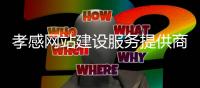 孝感网站建设服务提供商_(孝感网站建设服务提供商名单) 