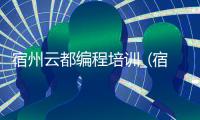 宿州云都编程培训_(宿州云都编程培训学校地址) 