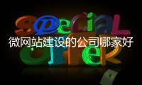 微网站建设的公司哪家好_(有哪些做得比较好的微网站) 