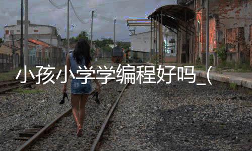 小孩小学学编程好吗_(孩子小学学编程课有用吗)