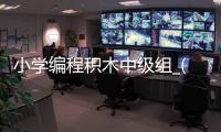 小学编程积木中级组_(积木编程是学些什么东西) 