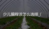 少儿编程该怎么选择_(少儿编程入门先学什么) 