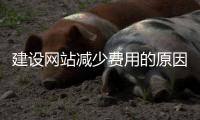 建设网站减少费用的原因_(建设网站减少费用的原因是什么) 