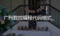 广州数控编程代码格式_(广州数控编程代码格式和FANUC有区别吗) 