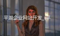 平湖企业网站开发_(平湖企业网站开发公司) 