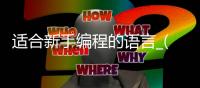 适合新手编程的语言_(最适合新手的编程语言) 