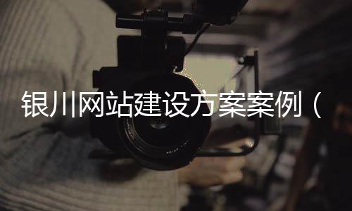 银川网站建设方案案例(网站建设方案都包括哪些内容)