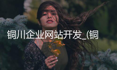 铜川企业网站开发_(铜川企业网站开发招聘信息)