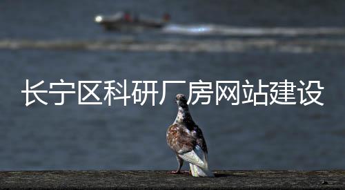 长宁区科研厂房网站建设_(长宁区科研厂房网站建设项目招标)