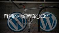自制的小编程车_(如何制作编程的小车) 