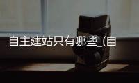 自主建站只有哪些_(自建站是属于什么模式) 