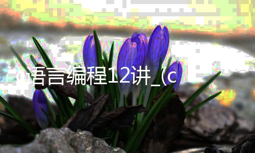 c语言编程12讲_(c语言编程13+57)
