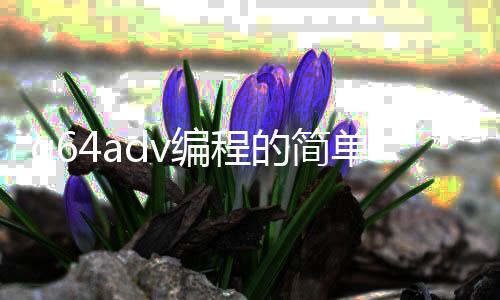 q64adv编程的简单介绍